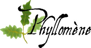 Phyllomène